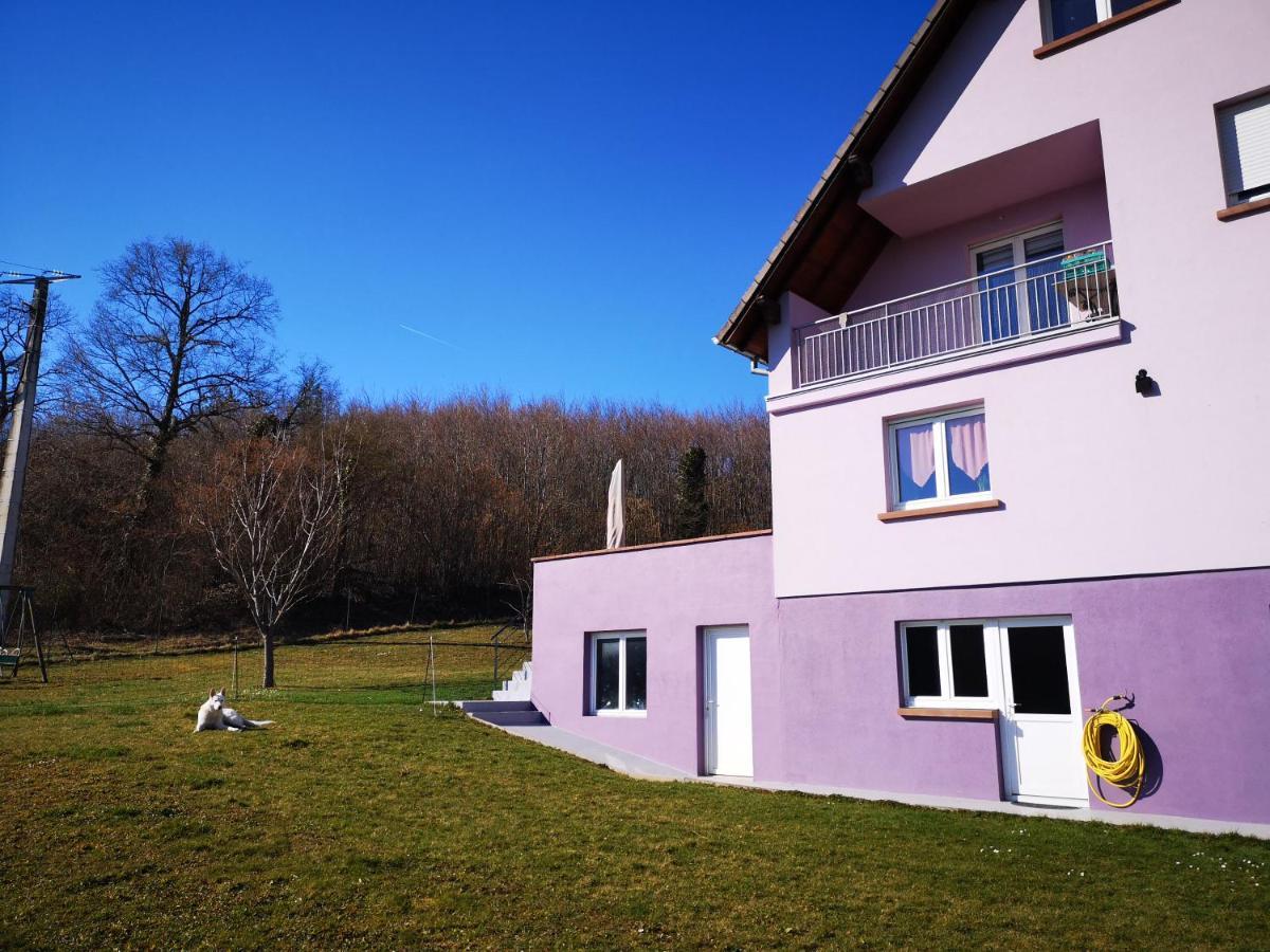 A l'orée du bois Romanswiller Extérieur photo